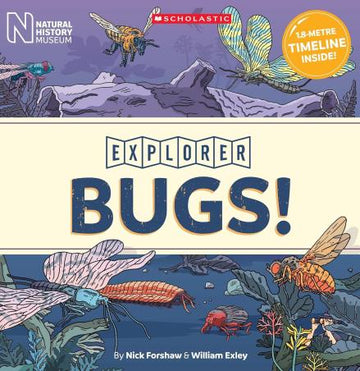Explorer Bugs !