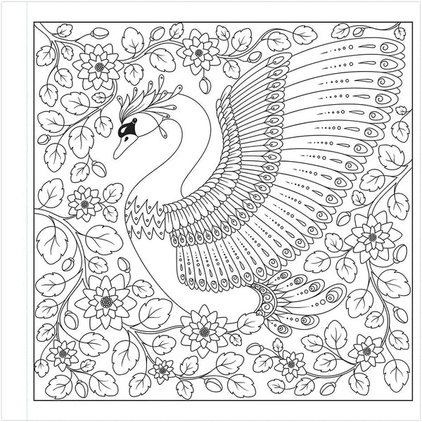 Inside page Animals & Birds colouring book adults Navneet 48 pages