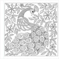 Detailed line art Animals & Birds mandala colouring adult hobby book india
